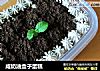 咸奶油盒子蛋糕的做法