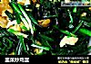 韭菜炒鸡蛋的做法