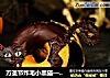 万圣节炸毛小黑猫—创意巧克力甜甜圈的做法