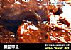 糖醋带鱼的做法
