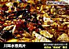 川味水煮肉片的做法