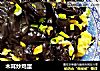 木耳炒鸡蛋的做法