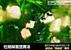 牡蛎茼蒿豆腐汤的做法