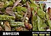 豆角炒五花肉的做法