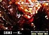 【苏菜】----无锡排骨的做法
