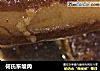 何氏东坡肉的做法