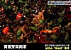 青椒芽菜肉末的做法