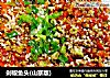 剁椒鱼头(山寨版)的做法