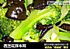 西兰花拌木耳的做法