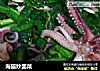 海猫炒韭菜的做法