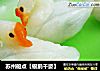 苏州船点【银鹅千姿】的做法