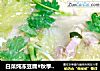 白菜炖冻豆腐#秋季滋阴润肺#的做法