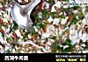 西湖牛肉羹的做法