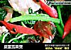 皮蛋苋菜煲的做法