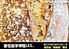 面包自学课程LESSON 6: 燕麦片法包的做法
