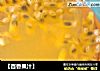 【百香果汁】的做法