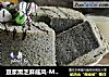 豆浆黑芝麻戚风-Me豆浆实验室的做法