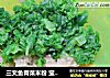 三文鱼青菜米粉 宝宝辅食，味道鲜美的做法