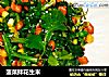 菠菜拌花生米的做法