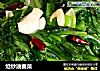 炝炒油麦菜的做法