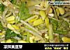 凉拌黄豆芽的做法
