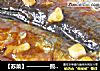 【苏菜】————煎秋刀鱼的做法