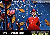 立冬～之水果拼盘的做法