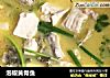 泡椒黄骨鱼的做法