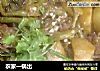 农家一锅出的做法