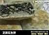 芝麻花生饼的做法