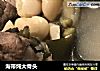 海带炖大骨头的做法