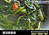 西洋菜骨汤的做法