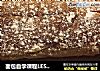 面包自学课程LESSON 7 ：初磨芝士面包的做法