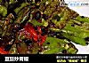 豆豉炒青椒的做法