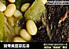 猪骨黄豆凉瓜汤的做法