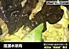 醋溜木须肉的做法
