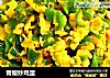 青椒炒鸡蛋的做法