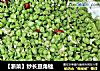 【浙菜】炒长豆角锉的做法