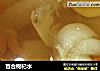 百合枸杞水的做法