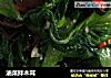 油菜拌木耳的做法