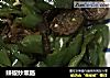 辣椒炒熏肠的做法