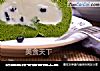 柠檬香抹茶蜜豆瑞士卷的做法