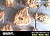 核桃饼干。的做法