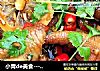 小青de美食---麻辣鸡爪的做法