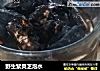 野生紫灵芝泡水的做法