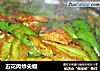 五花肉炒尖椒的做法