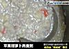 苹果胡萝卜燕麦粥的做法