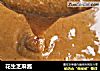 花生芝麻酱的做法
