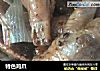 特色鸡爪的做法