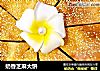 奶香芝麻大饼的做法